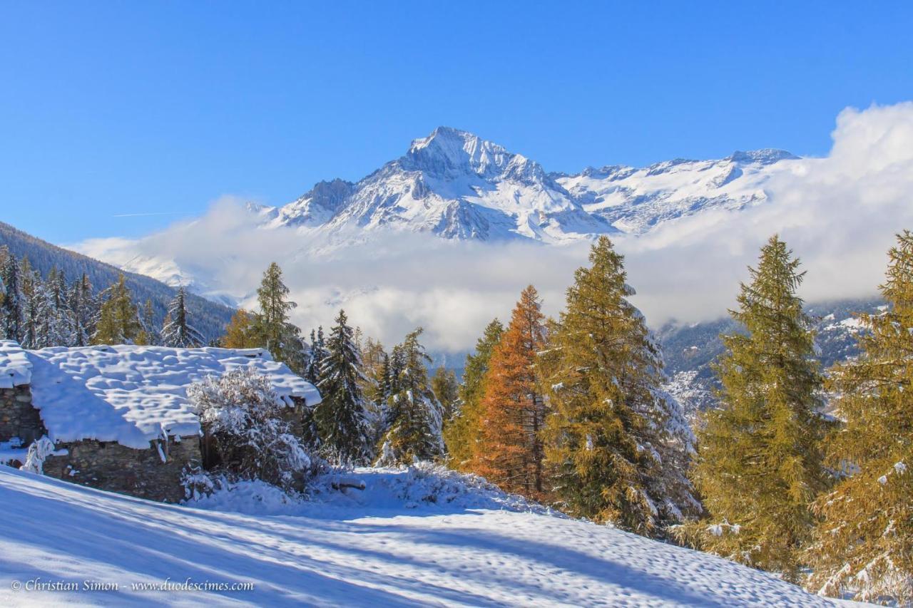 Les Balcons Proche Parc National Vanoise Appartements 2 Pieces 6 Pers Cabine Termignon Luaran gambar